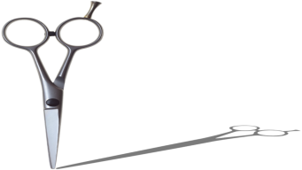 Scissors forming the letter L